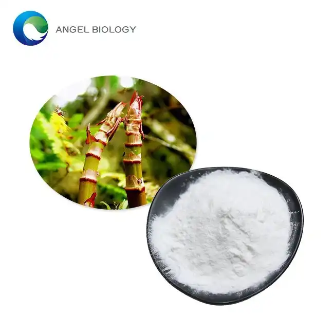 Polygonum Cuspidatum vs Grape Resveratrol: Extraction Specs Compared
